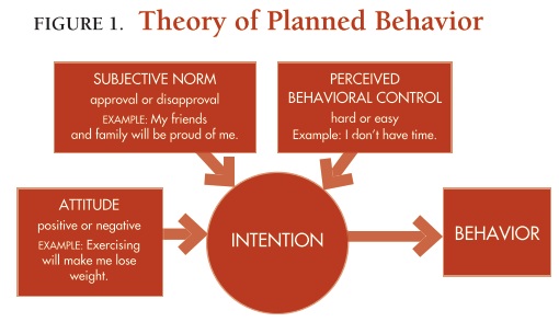 Theory of Planned Behavior